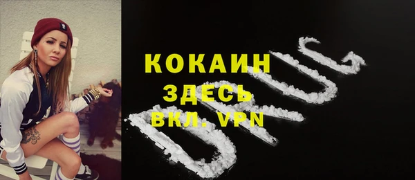 спайс Арсеньев
