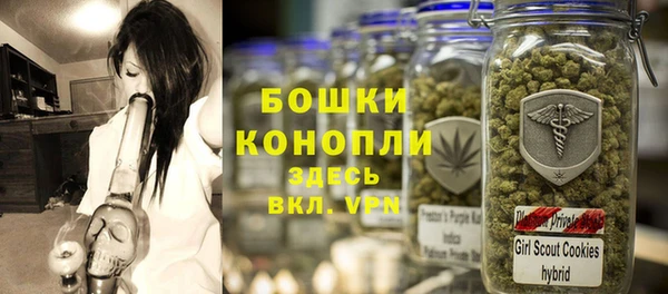 спайс Арсеньев