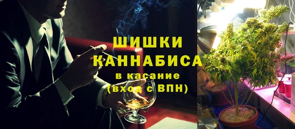 спайс Арсеньев