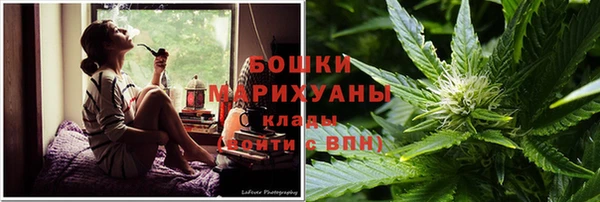 спайс Арсеньев