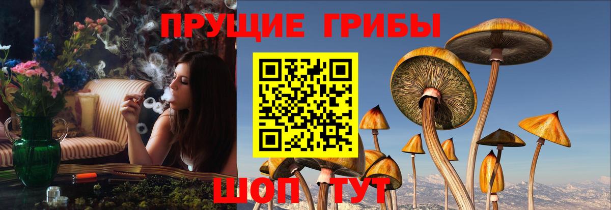 Галлюциногенные грибы ЛСД Белорецк